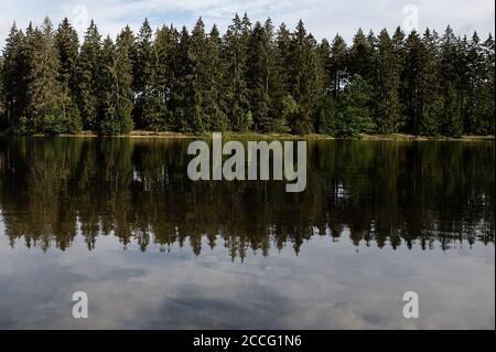 Buntenbock, Deutschland. August 2020. Fichten spiegeln sich im oberen Flambach-Teich im Harz. Der Teich gehörte zum sogenannten Oberharzer Wasserregal. Dies ist ein altes, vorindustrielles System zur Führung und Speicherung von Wasser für den Einsatz im Bergbau. Quelle: Swen Pförtner/dpa/Alamy Live News Stockfoto