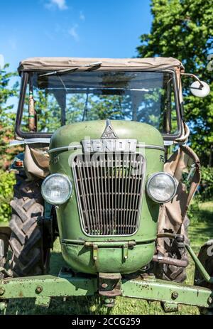 Michelstadt, Hessen, Fendt Dieselross Farmer 2D, Typ FW 228, Baujahr 1963, 28 PS, 1990 ccm. Stockfoto