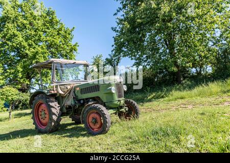 Michelstadt, Hessen, Fendt Dieselross Farmer 2D, Typ FW 228, Baujahr 1963, 28 PS, 1990 ccm. Stockfoto