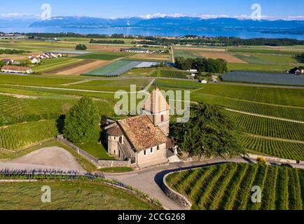 Die Kirche von La Sentinelle, der Hüterin, in der Weinregion La Côte am Genfersee, Luins, Waadt, Schweiz Stockfoto