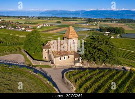 Die Kirche von La Sentinelle, der Hüterin, in der Weinregion La Côte am Genfersee, Luins, Waadt, Schweiz Stockfoto