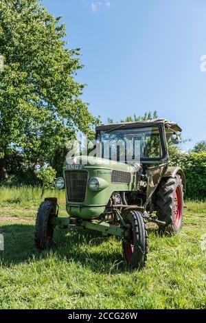 Michelstadt, Hessen, Fendt Dieselross Farmer 2D, Typ FW 228, Baujahr 1963, 28 PS, 1990 ccm. Stockfoto