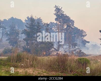 Santa Cruz/Davenport, Kalifornien, USA. August 2020. CZU Lightning Complex Feuer: Highway 1 nördlich von Santa Cruz: .Feuer-Wasser Sonnenuntergang Kredit: Amy Katz/ZUMA Wire/Alamy Live News Stockfoto