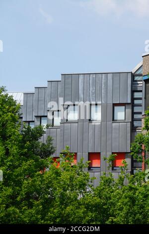 Carl von Ossietzky Universität Oldenburg, Oldenburg in Oldenburg, Niedersachsen, Deutschland, Europa Stockfoto