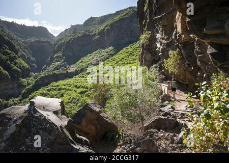 Wanderin im Barranco de Ruiz in der Nähe von San Juan de la Rambla, Teneriffa, Kanarische Inseln, Spanien Stockfoto