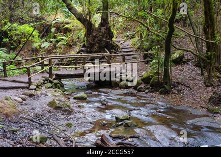 Brücke über den El Cedro Stream im Nebelwald, Garajonay National Park, La Gomera, Kanarische Inseln, Spanien Stockfoto