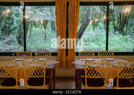 Gästezimmer und Fenster zum Lorbeerwald, Restaurant Laguna Grande im Garajonay Nationalpark, La Gomera, Kanarische Inseln, Spanien Stockfoto