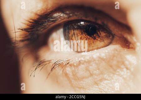 Makroansicht eines braunen Auges, das Sie ansieht. Stockfoto