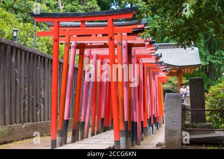 Tokio, Japan - Nezu-Schrein in Tokio, Japan. Es ist eines der Tokyo Ten Shrines. Stockfoto