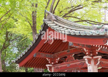 Tokio, Japan - Nezu-Schrein in Tokio, Japan. Es ist eines der Tokyo Ten Shrines. Stockfoto