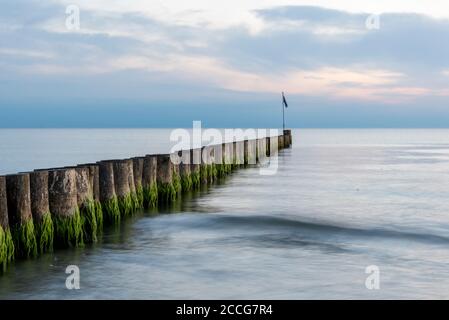 Wellenbrecher auf der Insel Hiddensee Stockfoto