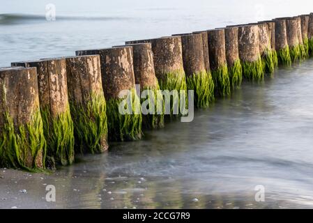 Wellenbrecher auf der Insel Hiddensee Stockfoto