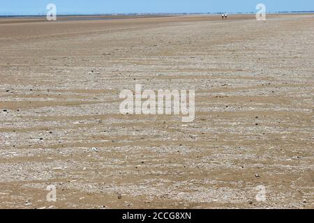 Low Tide am Ainsdale Beach Sefton Coast UK zeigt Strandline Ausgewaschene Sandmason-Wurmrohre und Razorshells Stockfoto