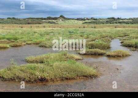 Birkdale Green Beach Stockfoto