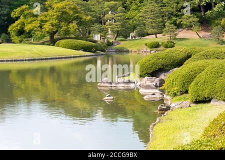 Tokio, Japan - Rikugien-Gärten in Tokio, Japan. Der Bau des Parks erfolgte zwischen 1695 und 1702. Stockfoto