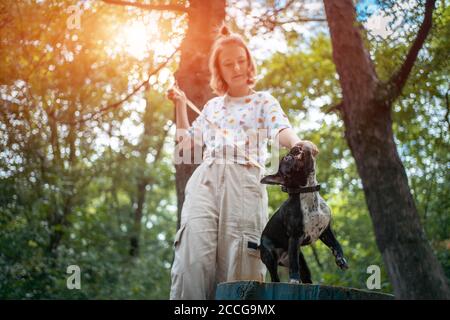 Mädchen spielen mit niedlichen kleinen franzosen Bulldogge Welpen im Park Am Sommertag Stockfoto