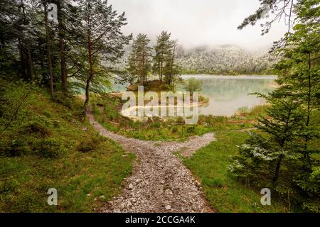 Eisheilige am Eibsee, ein Wanderweg teilt sich, im Hintergrund der Eibsee mit Halbinsel und Schnee auf den Bäumen, während Pollen in einer kleinen Bucht treiben. Stockfoto