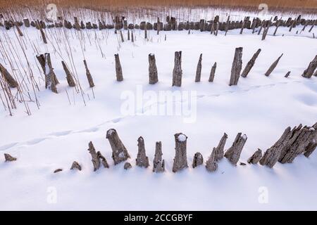 Holzbretter aus einer alten Fischfarm am Zwergern Halbinsel am Walchensee mit Fuchsspuren im Schnee Stockfoto