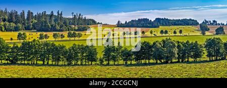 Baumreihe über dem Bach in den Hügeln des Nizky Jesenik-Gebirges in den Ostsudetten in der Nähe der Stadt Bruntal, Mährisch-Schlesische Region, Schlesien, Tschechische Republik Stockfoto