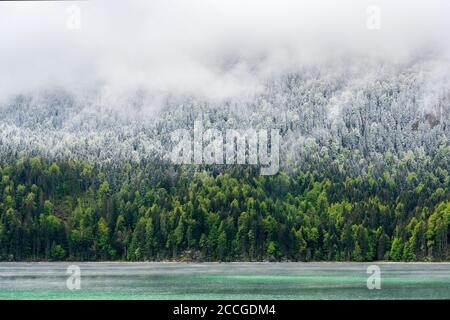 Ufer des Eibsee während der Eisheiligen. Türkisblaues Wasser, grüner Wald, frischer Schnee und dicke Wolken teilen dieses Bild in vier Bereiche auf. Stockfoto