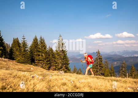 Bergsteiger auf Simetsberg in farbenfroher und sportlicher Kleidung, im Hintergrund die Berge und der Walchensee Stockfoto