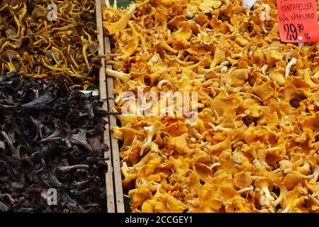 Pfifferlinge in einem Straßenmarkt Personal - Kartenübersetzung: Pfifferlinge aus Varmland, 29.90/kg Stockfoto