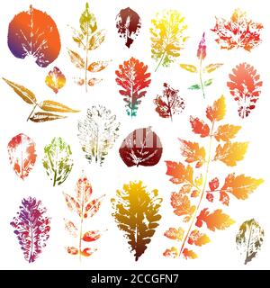 Bunte Herbstblätter Abdrücke gesetzt isoliert auf weißem Hintergrund. Vektorgrafik Stock Vektor