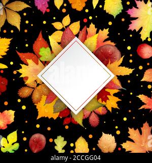 Bunte Blätter im Herbst. Vector Illustration Stock Vektor