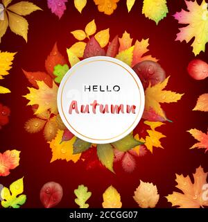 Hallo Herbst Hintergrund mit hellen Herbstblättern. Vektorgrafik Stock Vektor