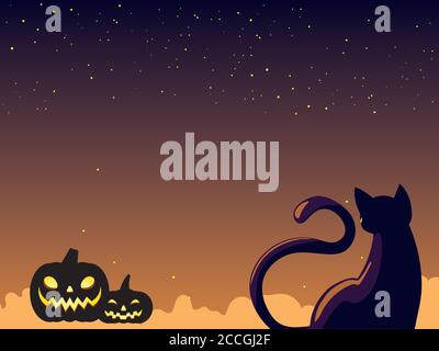 Halloween Katze und Pumkins Cartoons bei Nacht Design, Urlaub und beängstigend Thema Vektor Illustration Stock Vektor