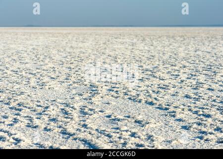 Kruste aus Steinsalz auf dem Assale Salt Lake, Lake Assale, über 100m unter dem Meeresspiegel, Hamadela, Danakil Depression, Afar Triangle, Äthiopien Stockfoto