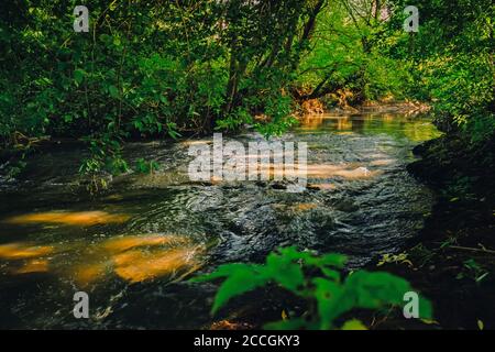 Rauher, schmaler Fluss Noksa im Schatten der Bäume. Wasser in verschiedenen Schattierungen. Grüne Bäume am Ufer des Flusses. Republik Tatarstan Stockfoto