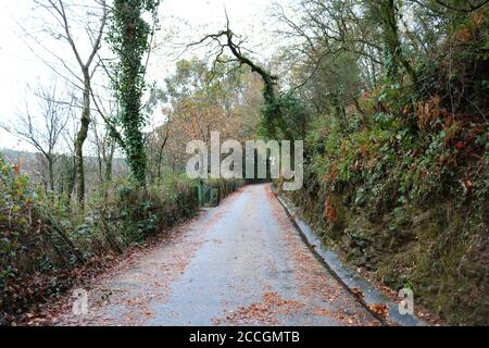 "Oft führen schwierige Straßen zu schönen Zielen" (Zig Ziglar). Stockfoto