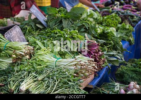 Frische Kräuter Stall auf dem Dorfmarkt in Griechenland Stockfoto