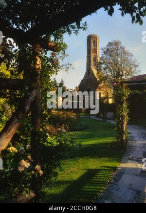 Greyfriars Tower, ein Franziskanermönch in Tower Gardens, Kings Lynn, Norfolk, England, Großbritannien Stockfoto