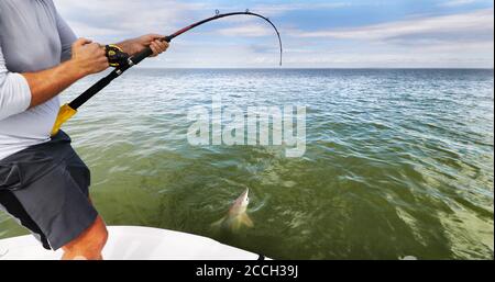 Sportfischen Fischer Mann zieht Spinner Hai. Großes Spiel blauen Wasser Fisch fangen und freigeben. Bootstour Tourismus Aktivität auf dem Meer Stockfoto