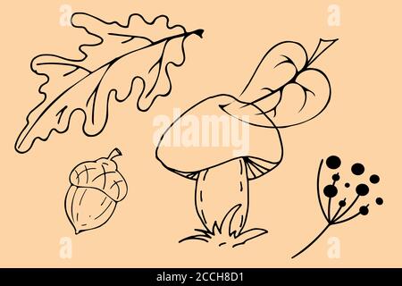 Skizzieren Sie eine Reihe von Herbstwaldbildern. Handgezeichnetes Grafikdesign. Eichenblatt, Eichel, Beeren und Pilzelemente. Herbst Saison Dekorative Kollektion Stock Vektor