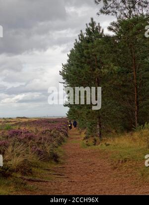 Zwei Wanderinnen auf dem Fußweg nach Leuchars rund um Tay Heath und Tentsmuir Forest an der Ostküste Schottlands an einem nassen Augusttag. Stockfoto