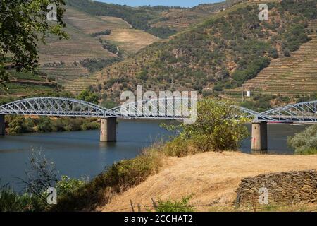 Ikonische Eisenbrücke der Eisenbahn im Tal des Flusses Douro, Portugal - Weinbauregion Port mit von Menschen gemachten Terrassen auf Green Hills Stockfoto