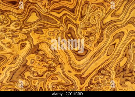 Beispiele für Holzfurniere, die auf Spanplatten beschichtet werden. Furnier aus Massivholz. Stockfoto