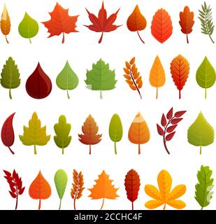 Herbstlaub Ikonen gesetzt. Cartoon-Set von Herbst Blätter Vektor-Icons für Web-Design Stock Vektor