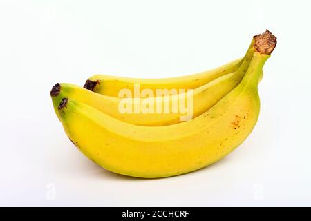 Bündel von drei Bananen isoliert auf einem weißen Hintergrund Stockfoto