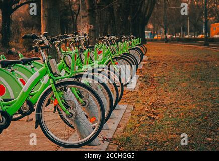 Eine Reihe grüner Fahrräder im Park. Verleih von Fahrrädern. Nahaufnahme grünen Fahrrad in Fahrrad-Parkplatz Stockfoto