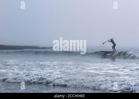 Ein einesenPaddle Boarder im Meer auf der Devonshire Küste im Atlantischen Ozean Stockfoto