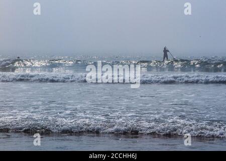 Ein einesenPaddle Boarder im Meer auf der Devonshire Küste im Atlantischen Ozean Stockfoto