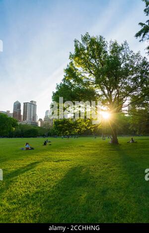 Frühlingsuntergang beleuchtet frische grüne Bäume in Sheep Meadow Central Parken Stockfoto