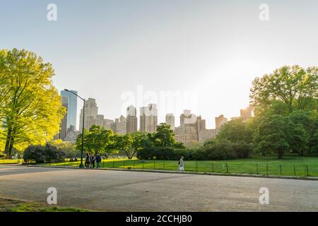 Der Frühlingsuntergang erhellt die frischen grünen Bäume im Central Parken Stockfoto