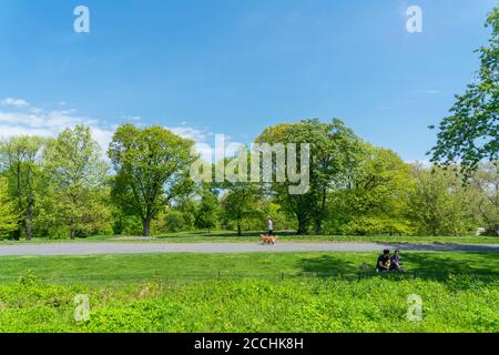 Bäume und Gräser umgeben den Fußweg im Central Park Stockfoto