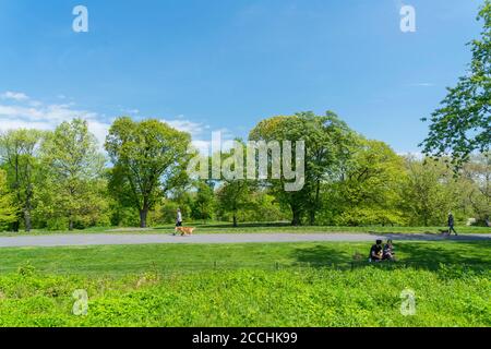 Bäume und Gräser umgeben den Fußweg im Central Park Stockfoto