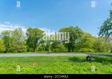 Bäume und Gräser umgeben den Fußweg im Central Park Stockfoto